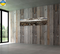 Lviv. Overview Panoramic (2)